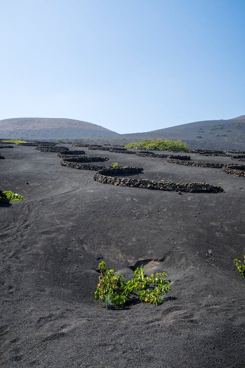 Boek je goedkope vakantie naar Lanzarote